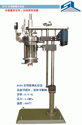 供应SYBFD系列玻璃反应釜、实验反应釜、高压反应釜