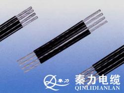 集束导线3+1芯秦力电缆