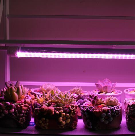 led植物灯叶菜类补光专用，郎特照明