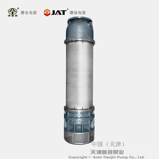 200QJX系列不锈钢下吸式潜水泵-奥特泵业