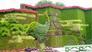 广州植物墙公司告诉你需了解植物墙的几个生长条件