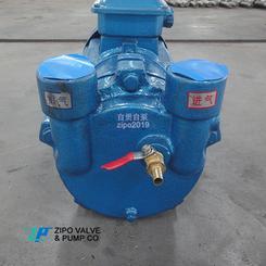 自贡自泵水泵厂2BV水环式真空泵及真空设备