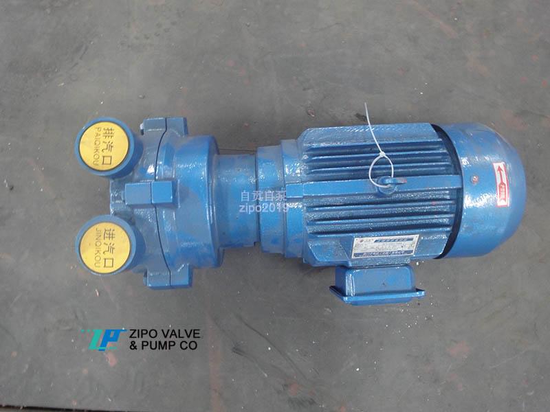自贡自泵水泵2BV水环式真空泵及真空设备