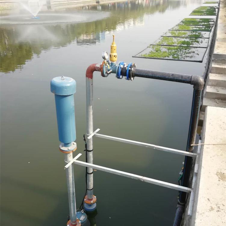 上海瑞柘RZSW-6537沉水式鼓风机 河道治理污水处理用水下鼓风机