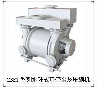 2BE1系列真空泵-淄博博山天体真空设备有限公司