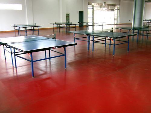 乒乓球运动地板乒乓球塑胶乒乓球塑胶地板乒乓球室地板乒乓球地板选购