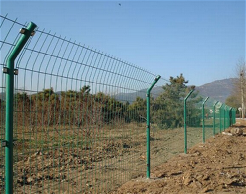 食用菌厂区围栏网