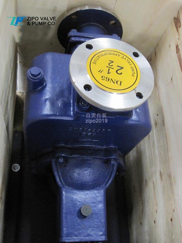 自贡自泵ZXZW卧式自吸泵铸铁电动排污泵