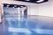 舞蹈教室专用地胶,舞蹈教室专用地板,专业舞蹈教室地胶