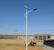led太阳能路灯成为新农村建设的一种必然需求-枣庄吉星光电