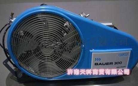 正压式空气呼吸器充气泵宝华BAUER300-TE