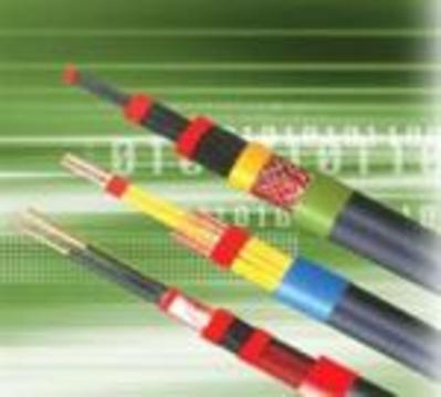 高质量、低价格 屏蔽电缆RVVP电线电缆
