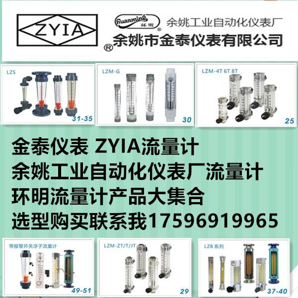 LZB-DK800-4/4F/6/6F微小流量测量调节玻璃转子流量计F防腐型余姚工业自动化仪表厂ZYIA