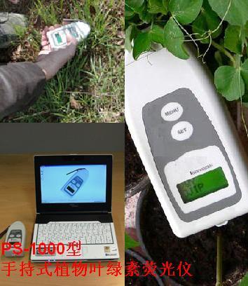 叶绿素荧光测定仪，调制叶绿素荧光仪，植物效能效率分析仪