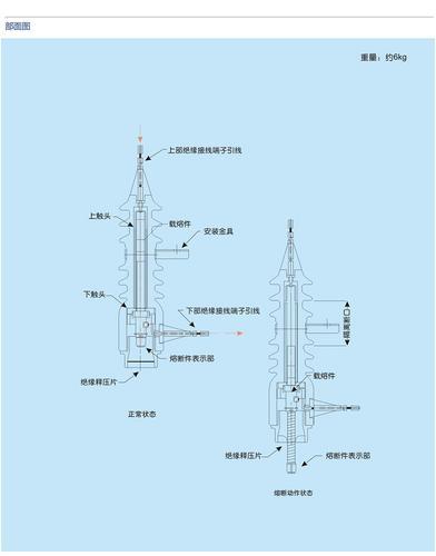 浙江硕维全绝缘封闭型喷射式熔断器RW-12/100A-12.5