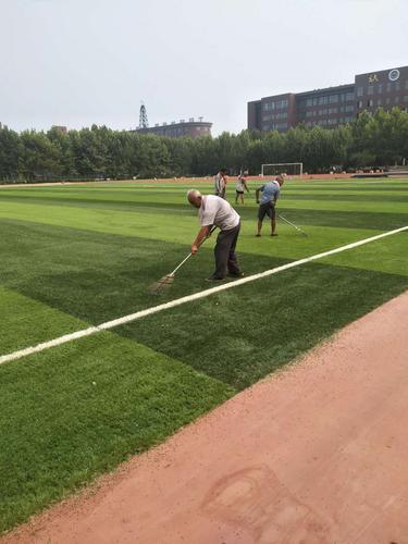 山东德州足球场人造草坪铺设