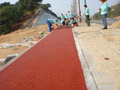 彩色透水混凝土道路，上海誉臻透水地坪新材料科技公司