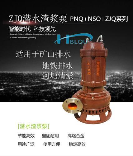 利欧ZJQ潜水渣浆泵40ZJQ-17-21-B杂质泵