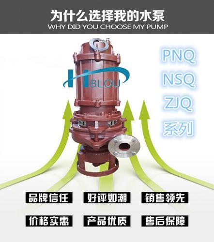利欧NSQ潜水吸沙泵NSQ50-38-11杂质泵