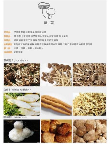 贵州永淦厂家生产红枣烘干设备 中药材烘干设备 食用菌烘干设备
