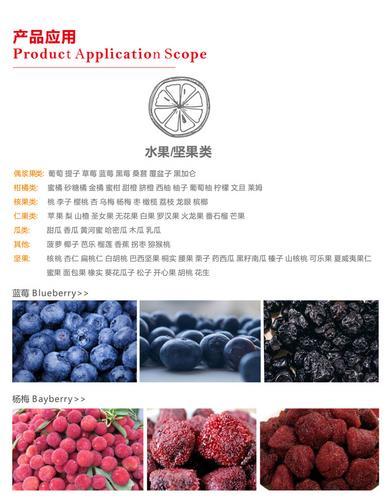 贵州永淦厂家生产石槲花烘干设备 果蔬烘干机 中药材烘干设备
