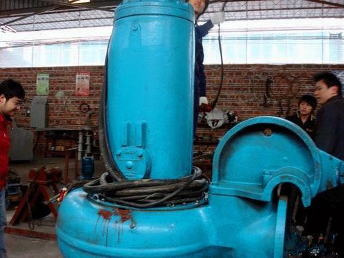 上海宝山地区消防泵保养维修更换机封控制柜调试检修安装