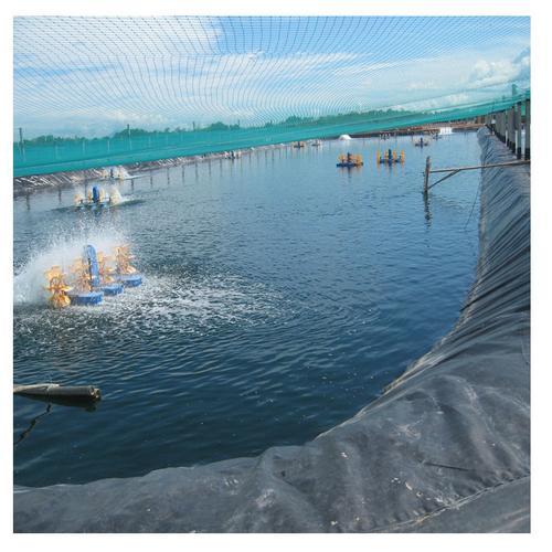 河东区欢迎来电水产养殖防水防渗土工膜