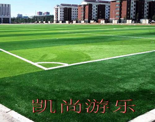 江苏苏州无锡上海常州学校人造草坪公园草坪厂家定制