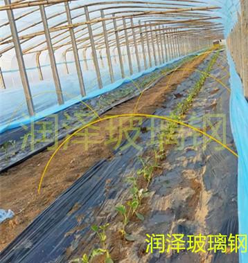 河北润泽可定制新型花卉蔬菜育苗棚替代毛竹玻璃纤维棒