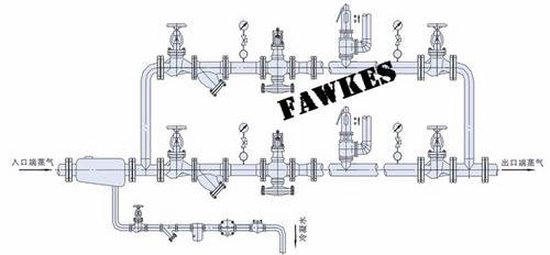 美国FAWKES福克斯进口蒸汽过滤器 导热油除污器