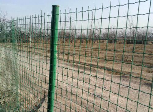 围栏荷兰网防护网铁丝网养殖网围网养鸡网护栏栅栏钢丝硬塑网隔离