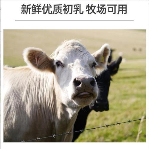 ​牛初乳加工设备 牛初乳杀菌设备 牧场专用初乳巴氏灭菌机​