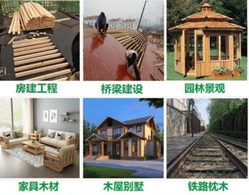 桂林杉木方条 工地建筑 木材加工厂 工程方木