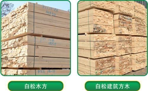 桂林杉木方条 工地建筑 木材加工厂 工程方木