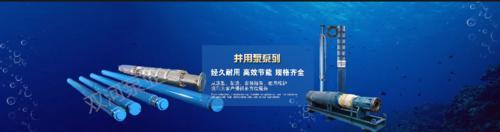 双河泵业 潜水泵型号 300QJ200-120/5  天津深井潜水泵  深井潜水泵厂家直营