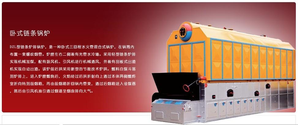 武汉专业dzl1吨2吨4吨6吨燃煤链条锅炉