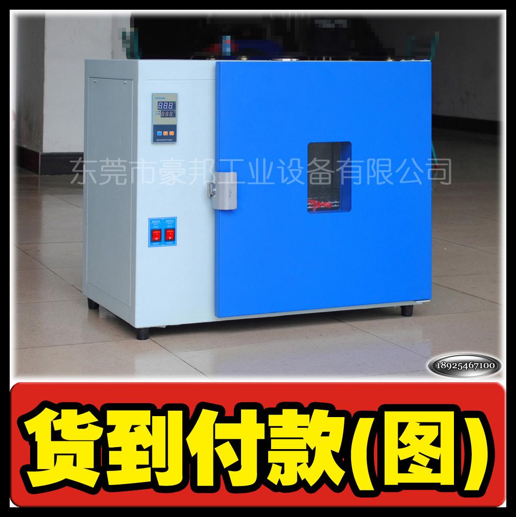 电热干燥箱,烘干箱,真空干燥箱,高温电阻炉(专业生产)