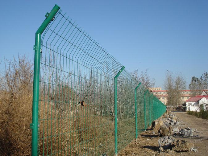 山鸡养殖围栏菱形铁丝网